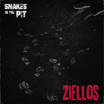Ziellos Cover